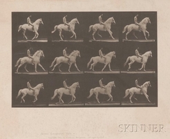 Eadweard Muybridge (British/American, 1830 to 1904) "Animal Locomotion, [collotype] plate 617", taken from Animal Locomotion. An Electro-Photographic Investigation of Consecutive Phases of Animal Movements, Philadelphia, 1887, depicting twelve stop-action photographs of a nude man on a white horse. 