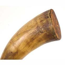 Powder Horn; Revolutionary War, Bedford Carver?, Sea Creatures, 1776, 9