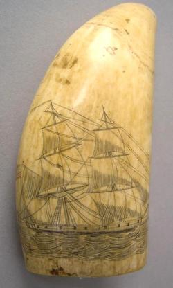 Scrimshaw; Whale Tooth, Ship, Full Sale, 5 inch.