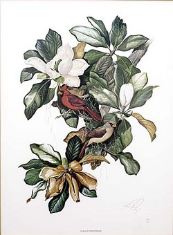 Riley C Ford Lithograph Signed Cardinals In Southern Magnolia 31 Inch